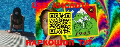 прущие грибы Обнинск