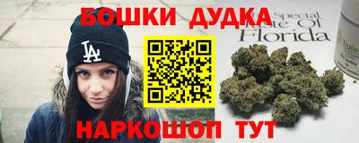 прущие грибы Обнинск