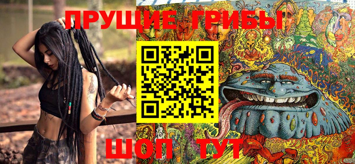 Псилоцибиновые грибы MAGIC MUSHROOMS  Вход с VPN  хочу   Евпатория  Галлюциногенные грибы прущие грибы 